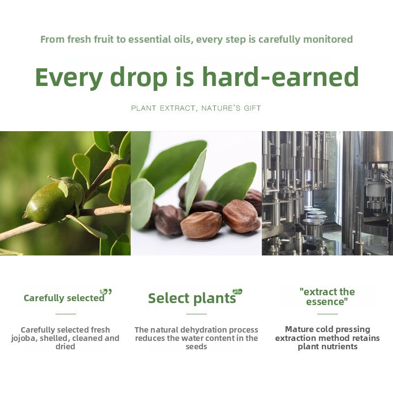 Cold Pressed Jojoba Oil Skin Care